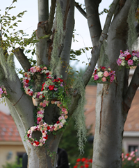 �n�C�W�̑��E�n�C�W�Y�K�[�f��